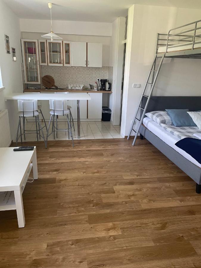Studio Apartment Ta5Ek Jesenice Luaran gambar